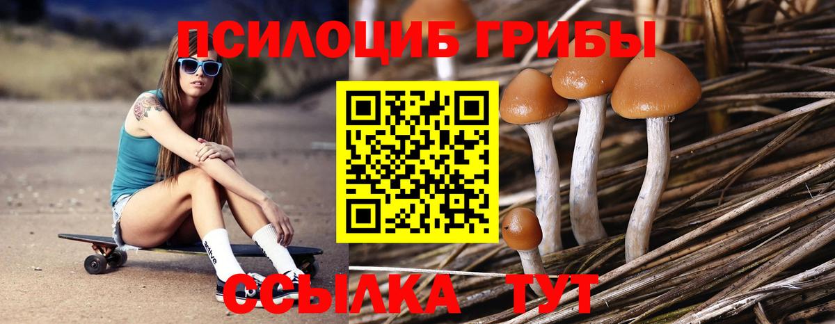 Галлюциногенные грибы Psilocybine cubensis  Вход с VPN  Дубна 
